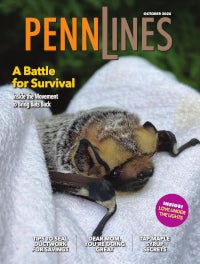 ON THE COVER: This month's feature is all about bats. The one above is among those that have been rescued by the Pennsylvania Bat Conservation and Rehabilitation Center in Berks County. Others in the state are helping, too. PHOTO BY STEPHANIE STRONSICK October 2026 Penn Lines Cover