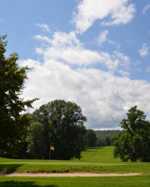 A golf course hole's green and its fairway flanked by trees