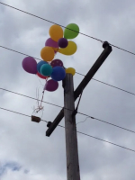 A bunch of balloons caught in overhead power lines