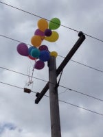 A bunch of balloons caught in overhead power lines