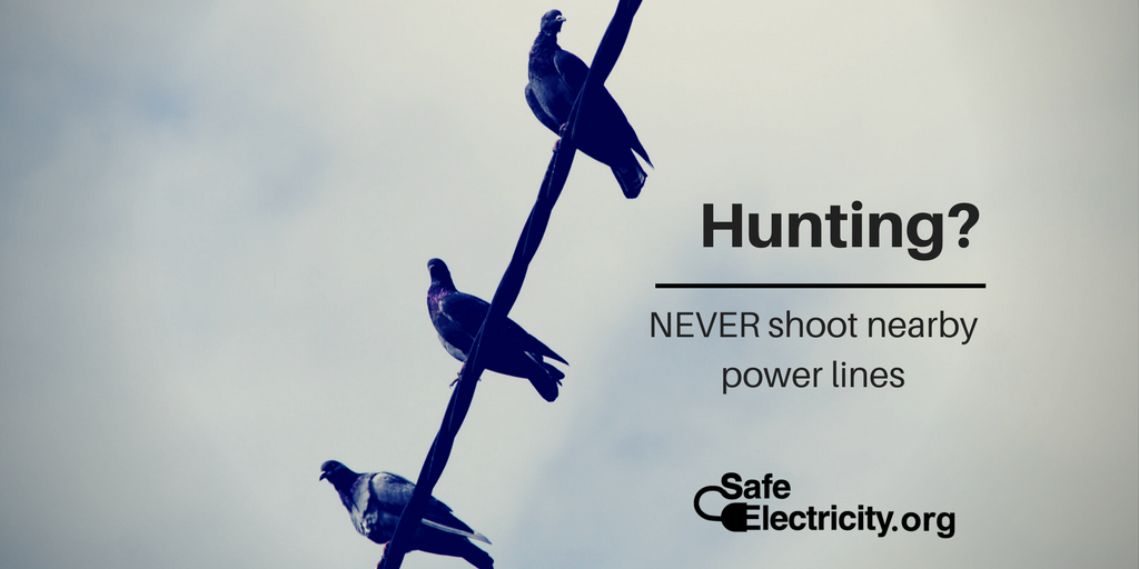 Three pigeons sitting on a power line