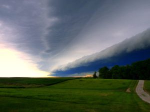 Storm front clouds above trees and field